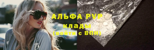 прущие крисы Беломорск